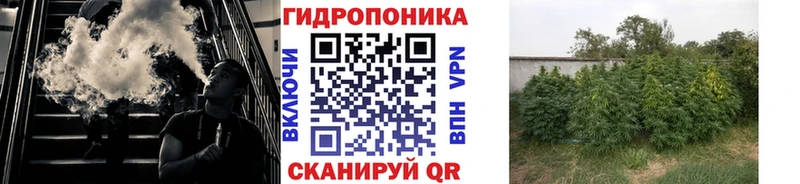 Магазин наркотиков Янаул Галлюциногенные грибы  Кокаин  МЕТАМФЕТАМИН  LSD-25  KRAKEN как войти  МЕФ  Канабис  СК 