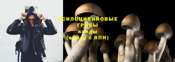 спиды Абинск
