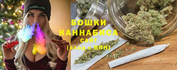 гидра Абаза