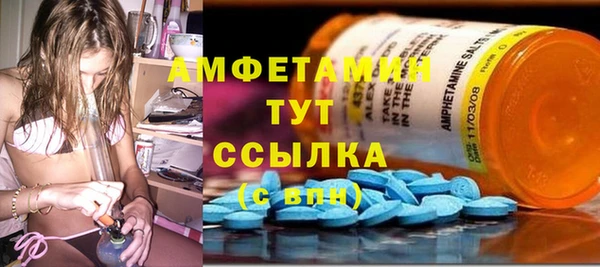 гидра Абаза