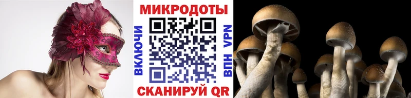 Псилоцибиновые грибы мухоморы  где можно купить наркотик  Янаул 